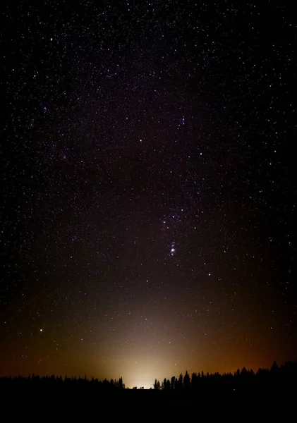 夕暮れや森の上の美しい明るい星 — ストック写真