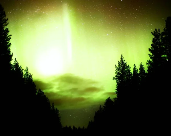 Helle Polarlichter Und Wolken Zwischen Baumsilhouetten — Stockfoto