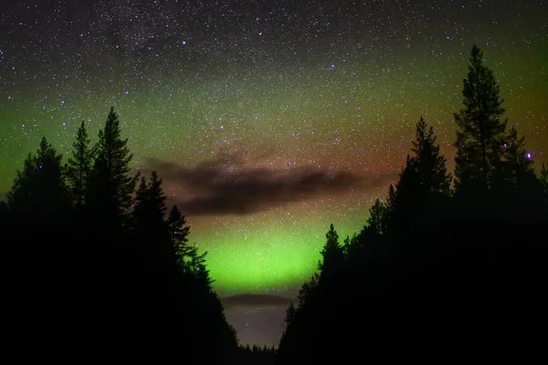 Yeşil Kırmızı Aurora Borealis Ağaç Siluetleri Arasında Bulutlar — Stok fotoğraf