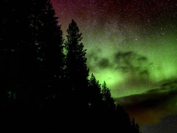 Zielone Czerwone Zorza Polarna Borealis Chmury Drzewami Sylwetki — Zdjęcie stockowe