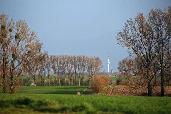 Agricultural Landscape City Magdeburg Germany — Stock Fotó