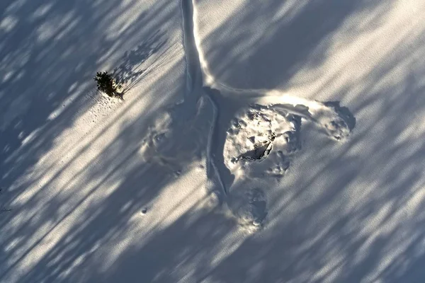 Conceptual Aerial Shot Tracks Snow Diagonal Shadows — Stock fotografie