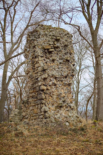 Mauerreste Der Burgruine Lauenburg Sachsen Anhalt — Stockfoto