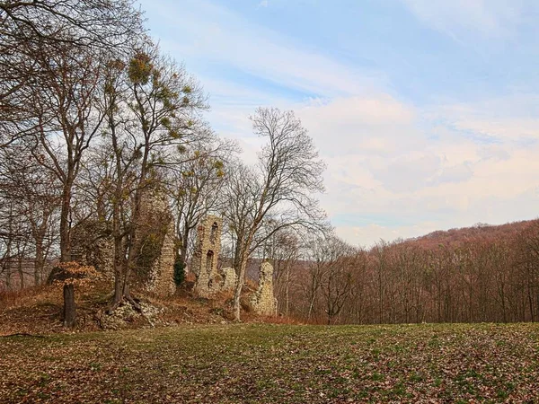 Castle Ruin Stecklenburg Field Saxony Anhalt Germany — Stock fotografie