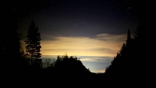 Illuminated Clouds Night Tree Silhouettes — Zdjęcie stockowe