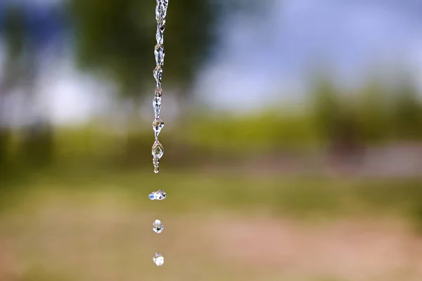 Gotas Agua Dulce Que Caen Frente Fondo Natural Borroso —  Fotos de Stock