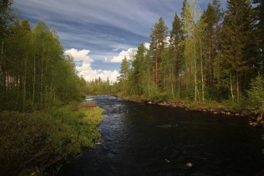 Kuzey İsveç 'teki küçük cennet nehri Parlstrom..