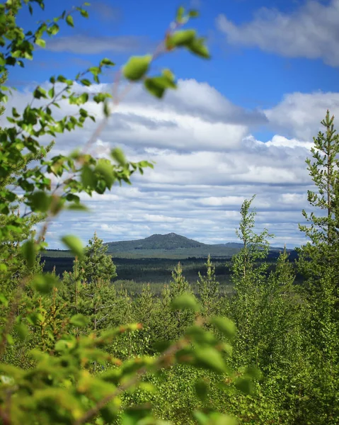 Paisagem Cênica Com Pequena Montanha Vithatten Norte Suécia — Fotografia de Stock