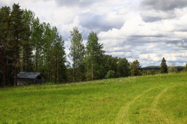 Scenic meadow in Swedish summer with a rural shack.