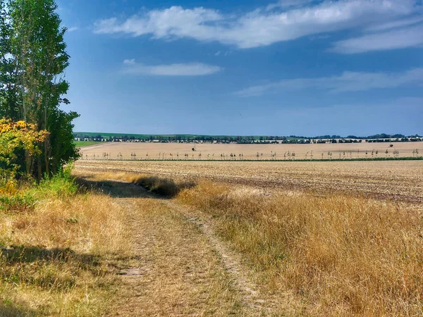 View over dry fields in Saxony-Anhalt, Germany.