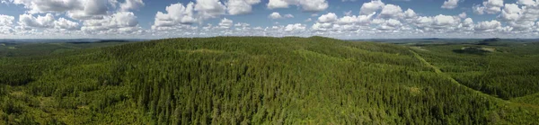 Aerial Panorama Nature Reserve Northern Sweden Dense Forest — Stockfoto