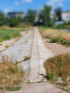 Şiddetli kuraklık sırasında Almanya, Magdeburg 'da Levee.