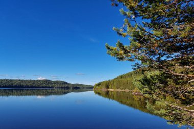 İsveç 'in kuzeyinde mavi gökyüzü olan Gallejaurdammen Gölü.