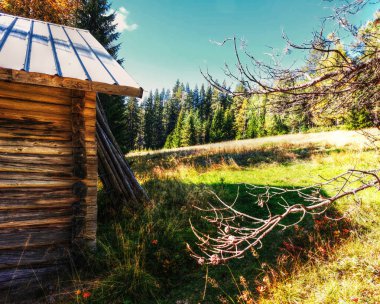 Kuzey İsveç 'teki eski bir ahırın arkasındaki manzaralı çayır..
