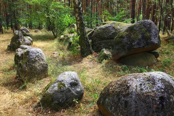 マグデブルク近郊のドイツの森の中にある巨石の墓カイザーグラブ — ストック写真
