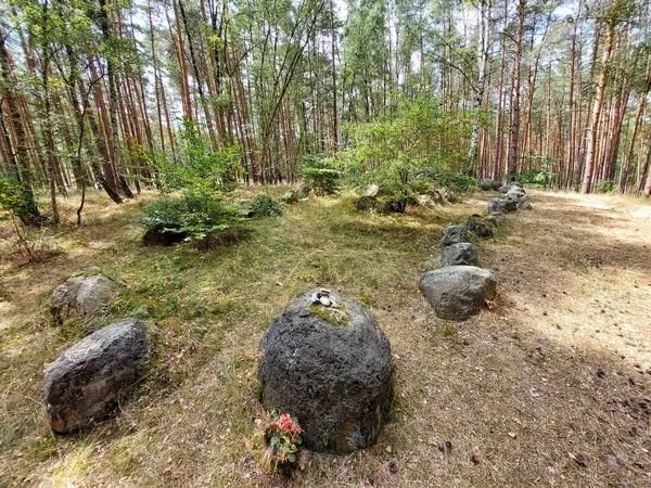 Tomba Megalitica Kaisergrab Nella Foresta Tedesca Vicino Magdeburgo — Foto Stock