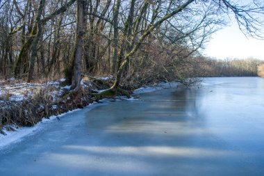 Gölün üzerindeki kış manzarası. Donmuş gölün üzerinde çıplak yapraksız ağaçlar asılı. Ormanda kış havası