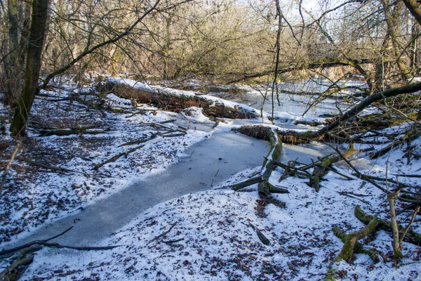 Χειμερινό Τοπίο Στη Λίμνη Δέντρα Χωρίς Φύλλα Κρέμονται Πάνω Από — Φωτογραφία Αρχείου