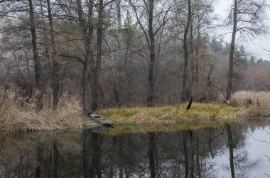 Sonbahar ağaçlarıyla çevrili bir orman gölü. Sonbaharda Forest Gölü. Sonbahar manzarasında orman gölü