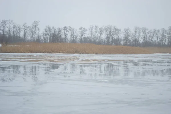 Nebbia Sul Lago Inverno Paesaggio Invernale Una Giornata Nuvolosa Disgelo — Foto Stock