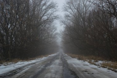 Bir sonbahar sabahında yol, ağaçların siluetleri ve sarı yapraklarla sisli bir şekilde uzaklaşıyor.