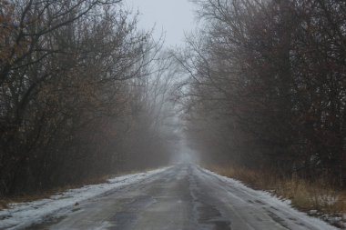 Bir sonbahar sabahında yol, ağaçların siluetleri ve sarı yapraklarla sisli bir şekilde uzaklaşıyor.