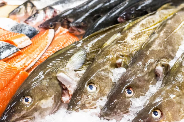 Bacalao Fresco Salmón Hielo Venta Pescadero Popular Ciudad Costera Southwold —  Fotos de Stock