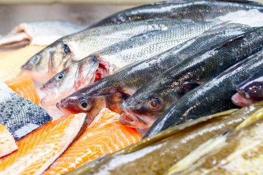 Taze uskumru ve somon Londra 'daki Billingsgate Balık Pazarı' nda satılık.
