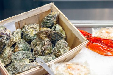 Londra 'daki Billingsgate balık pazarında taze istiridye sergileniyor.