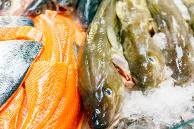 Londra 'daki Billingsgate Balık Pazarı' nda buzlu taze morina ve somon.