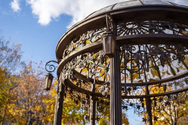 Autumnal Park 'taki Ağaç. Çardak Bahçesi Parkı.