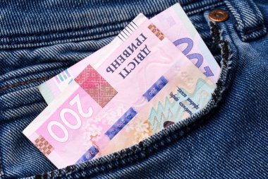 Ukrayna Hryvnia 'nın banknotları. Karışık Ukrayna Hrivnia banknotları ve paraları. Nakit para. Ukrayna ulusal para birimi faturaları. Ukrayna Parası. 