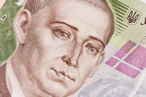 Ukrayna Hryvnia 'nın banknotları. Karışık Ukrayna Hrivnia banknotları ve paraları. Nakit para. Ukrayna ulusal para birimi faturaları. Ukrayna Parası. 