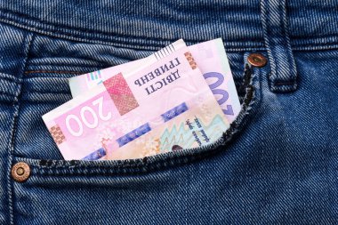 Ukrayna Hryvnia 'nın banknotları. Karışık Ukrayna Hrivnia banknotları ve paraları. Nakit para. Ukrayna ulusal para birimi faturaları. Ukrayna Parası. 