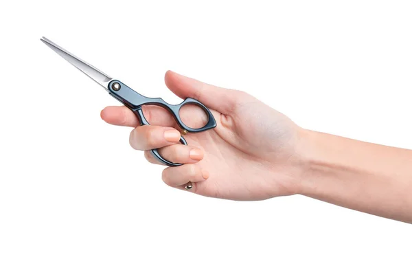 Woman Hand Holds Scissors Cutting Hair Hairdresser — Stock Photo, Image