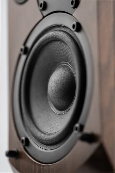 Music speakers on white background. Audio technica. Bookshelf speaker system for home entertainment.