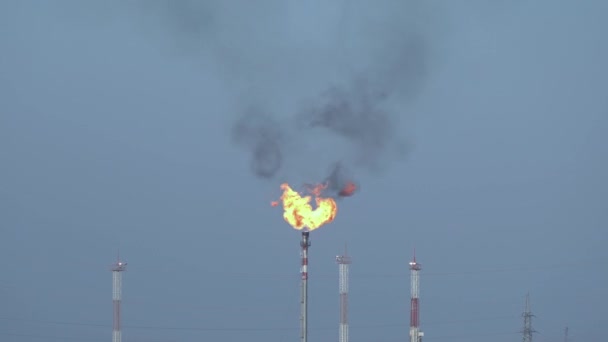 Quemadura de gas asociada. Una gran llama. Humo negro. Antorcha. Campo de petróleo y gas. — Vídeos de Stock