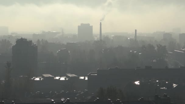 Città nella nebbia. Vapore e fumo si alzano. Case e alberi nella nebbia. Gli uccelli volano. Silhouette di case nella nebbia. Zona industriale. Tubi. — Video Stock