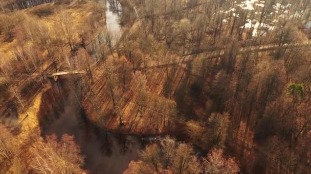 Over autumn park. Aerial view. Trees without leaves, river, bridges. Late in fall. Beautiful bend of river. Yellow forest. Shadows from trees on ground. — Stock Video