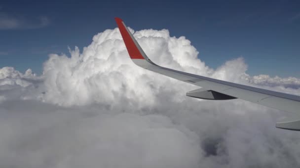 Skrzydło samolotu przelatuje obok chmury. Cumulus chmura w pobliżu skrzydła. Widok z okna samolotu. Piękny widok na chmury — Wideo stockowe