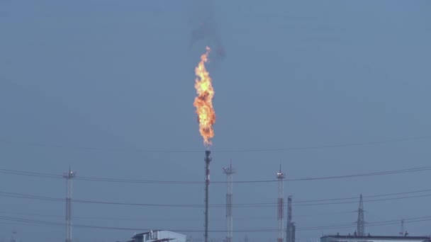 Quemadura de gas asociada. Una gran llama. Humo negro. Antorcha. Campo de petróleo y gas. — Vídeos de Stock