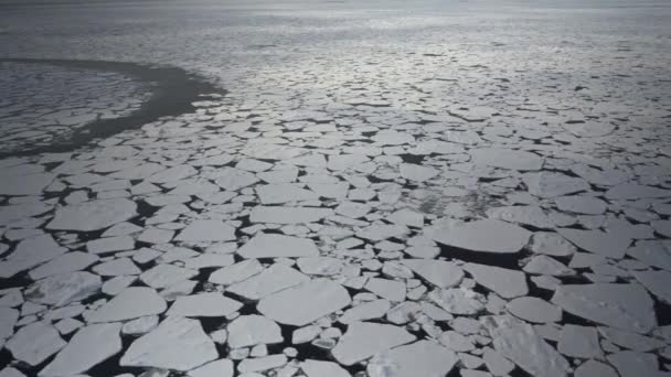 Su üzerinde buz parçalarının üzerinde uçmak. Buzlu deniz. Hava görüntüsü. Kırık buz. Denizde bir sürü buz var.. — Stok video