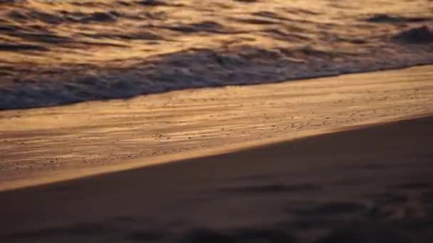 沙滩上的大海。沙滩上的波浪。在沙子上蘸点水。日落时分 — 图库视频影像