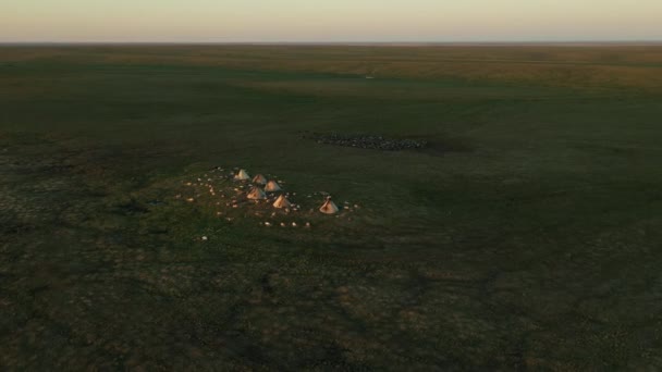 Yurtas en tundra. Tipi, wigwam. Manada de ciervos. Pueblos del lejano norte. — Vídeos de Stock