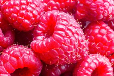 Olgun ahududulu makro shot. Meyve arka planı. Seçmeli odak