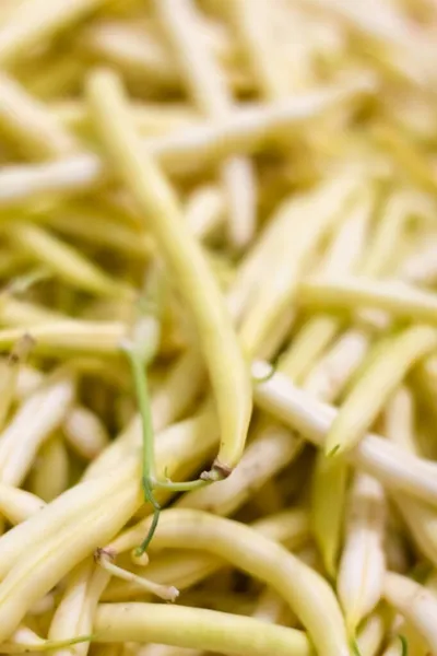 Background from yellow bean string. Close up — Stock Photo, Image