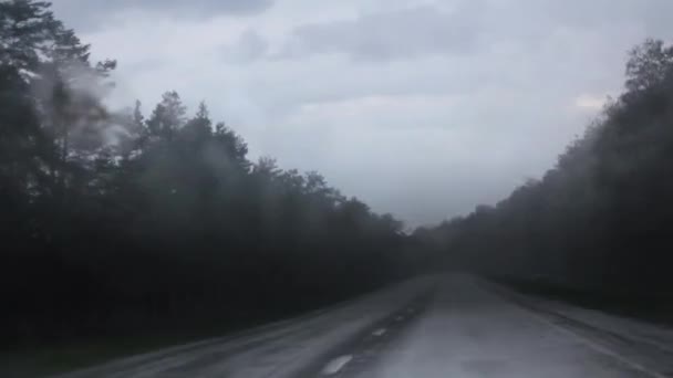 Widok z przedniego okna samochodu podczas ulewnego deszczu. — Wideo stockowe
