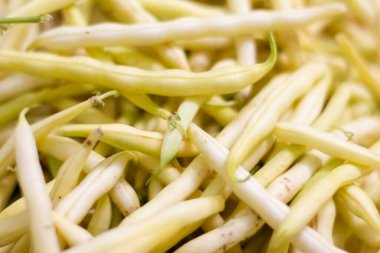 Sarı fasulye telinin arka planı. Kapat.