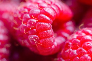 Olgun kırmızı ahududu. Yemek arkaplanı. Yakın plan..