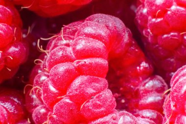 Olgun ahududulu makro shot. Meyve arka planı. Seçmeli odak